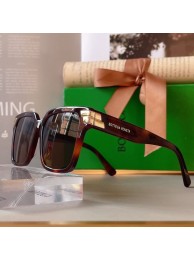 Imitation Bottega Veneta Sunglasses Top Quality BVS00027 Tl17810KV93