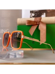 Imitation Bottega Veneta Sunglasses Top Quality BVS00052 Tl17785EY79